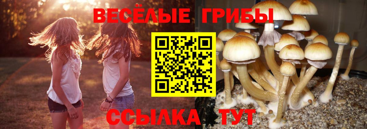 где купить наркоту  Галлюциногенные грибы MAGIC MUSHROOMS  Вход с VPN  Ишимбай 